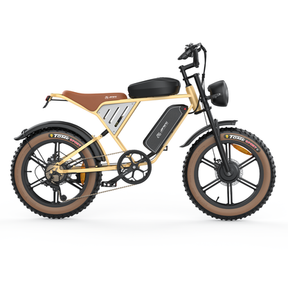 Customize your Jansno X70-beige dual motor